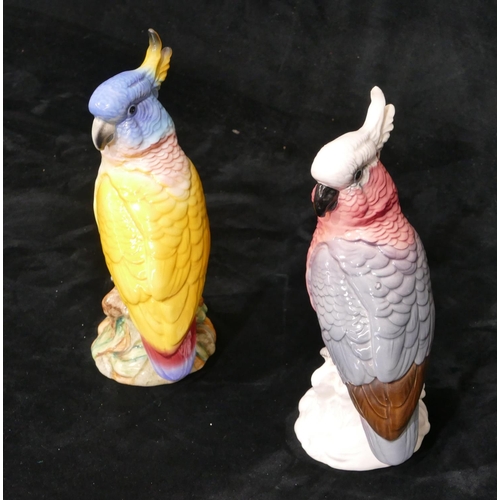 50 - 2 Beswick figures of cockatoo's numbered 1180, 21cm high. (2)