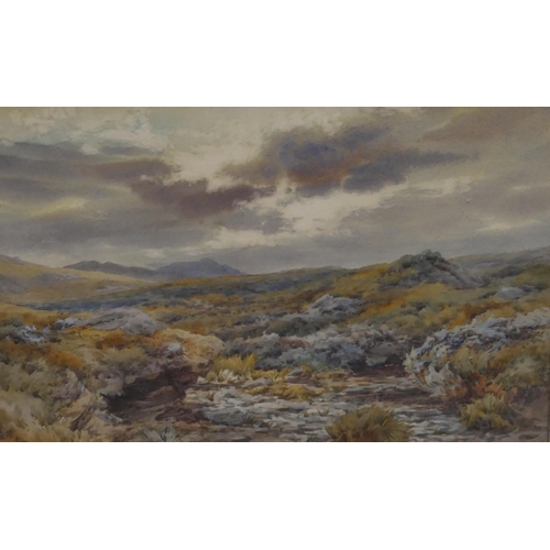 192 - A watercolour depicting moorland, monogrammed AC and dated '04, in hessian and gilt frame, 21.5 x 33... 