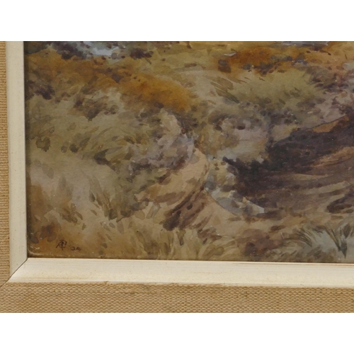 192 - A watercolour depicting moorland, monogrammed AC and dated '04, in hessian and gilt frame, 21.5 x 33... 