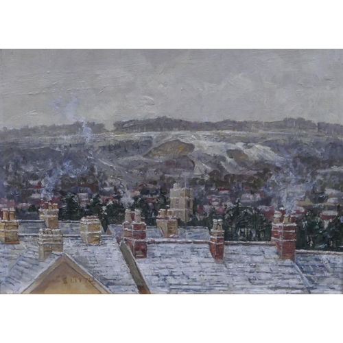 186 - S Little oil on board depicting rooftops, signed, in gilt frame, mounted under glass, 22 x 30cm.