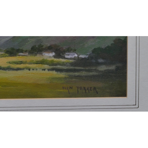 195 - Nan Parker watercolour depicting Caemes Farm. Wales, signed, framed, 25.5 x 36cm.