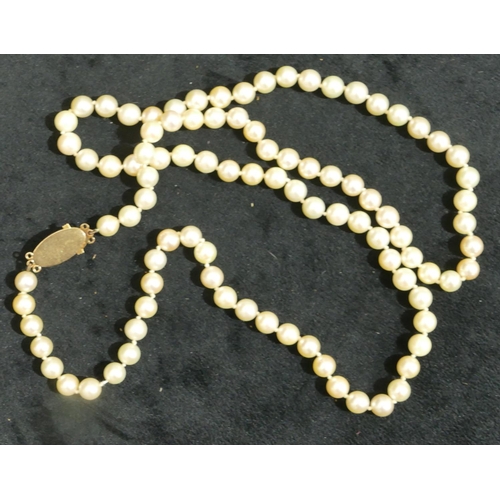 686 - A cultured pearl necklace with 18ct gold clasp, mounted with rose quartz, 84cm long