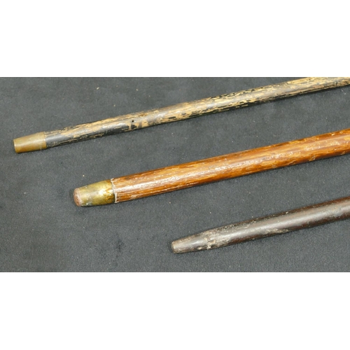 762 - 2 silver topped walking sticks and another similar walking stick. (3)