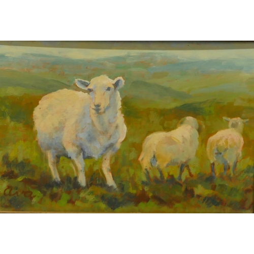 4124 - Oil on board depicting sheep in fields, labelled to back 