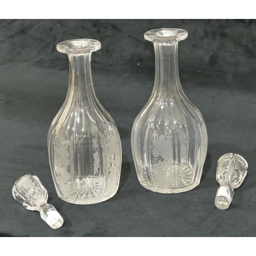 66 - A pair of cut glass round bulbous thin necked decanters with stoppers with engraved grape and vine d... 