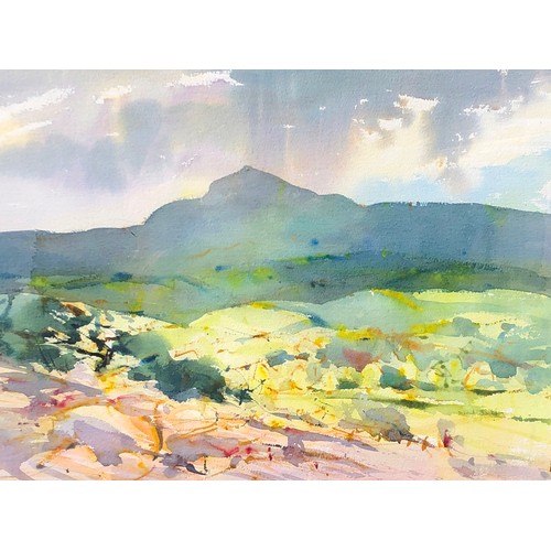 6094 - A watercolour landscape with hills in the background,60.5 x 44.5cm  in wood frame.