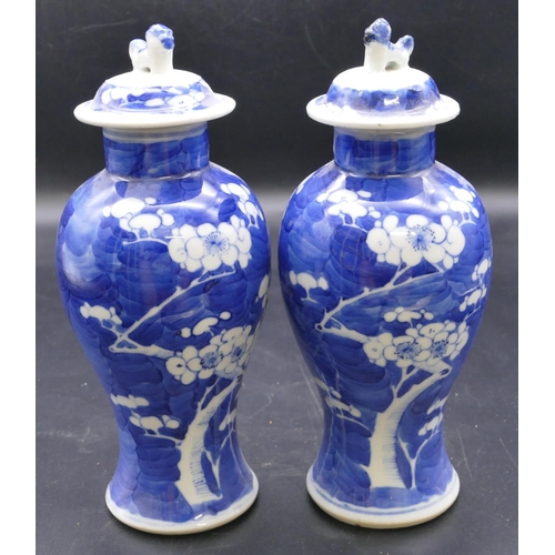 188 - A pair Chinese 19th Century blue and white round bulbous thin necked lidded vases with tree and blos... 