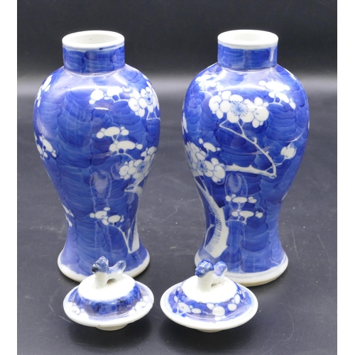 188 - A pair Chinese 19th Century blue and white round bulbous thin necked lidded vases with tree and blos... 