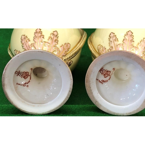 194 - A Pair Royal Crown Derby round bulbous thin necked 2 handled lidded vases on cream ground with flora... 