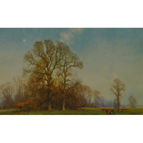 202 - David Shepherd, signed Limited Edition coloured print 