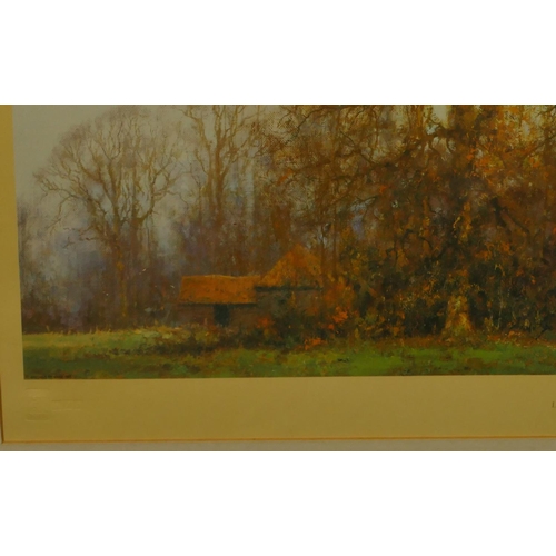 202 - David Shepherd, signed Limited Edition coloured print 