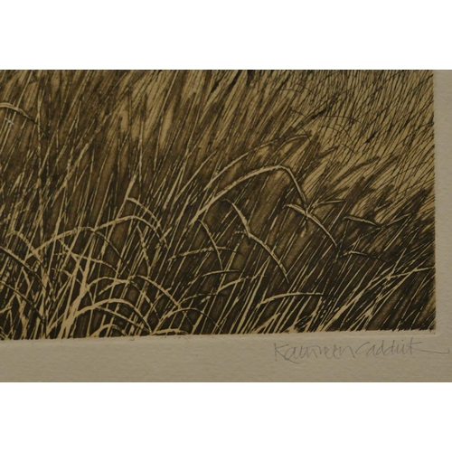 234 - Kathleen Caddick signed limited edition coloured etching 