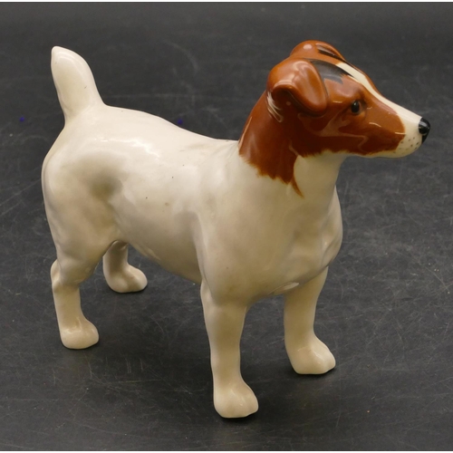 50 - A Beswick figure of a Jack Russell terrier, 12.5cm high