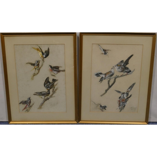 116 - A pair of watercolour and gouache studies of birds, both indistinctly signed, in gilt frames, 44cm x... 