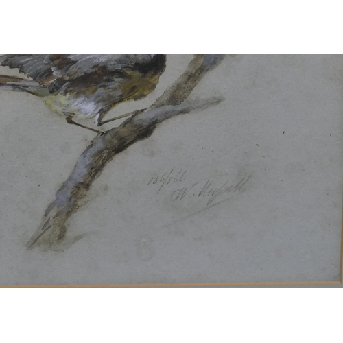 116 - A pair of watercolour and gouache studies of birds, both indistinctly signed, in gilt frames, 44cm x... 