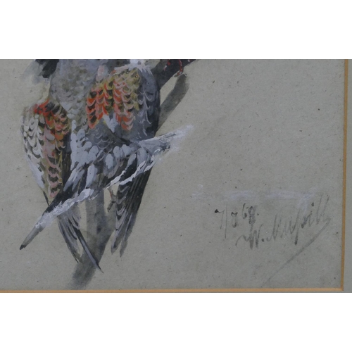 116 - A pair of watercolour and gouache studies of birds, both indistinctly signed, in gilt frames, 44cm x... 