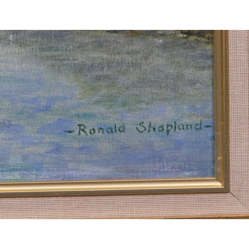 118 - Ronald Shapland, 2 oil on boards 