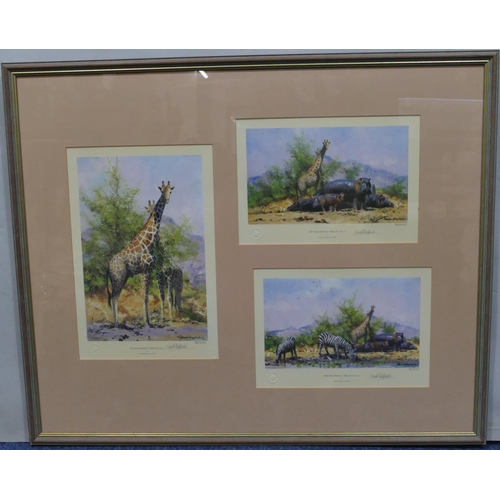 121 - 3 signed David Shepherd limited edition coloured prints, all mounted in single frame 