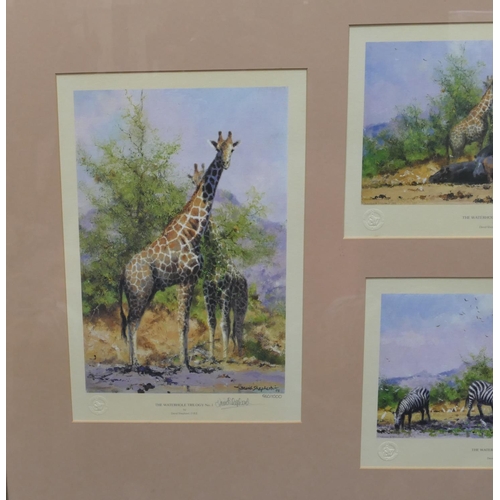 121 - 3 signed David Shepherd limited edition coloured prints, all mounted in single frame 