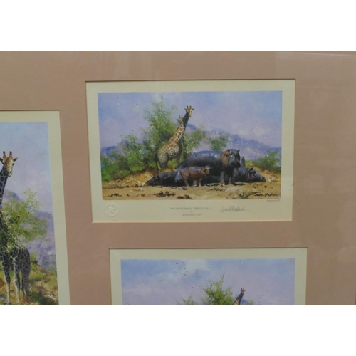 121 - 3 signed David Shepherd limited edition coloured prints, all mounted in single frame 