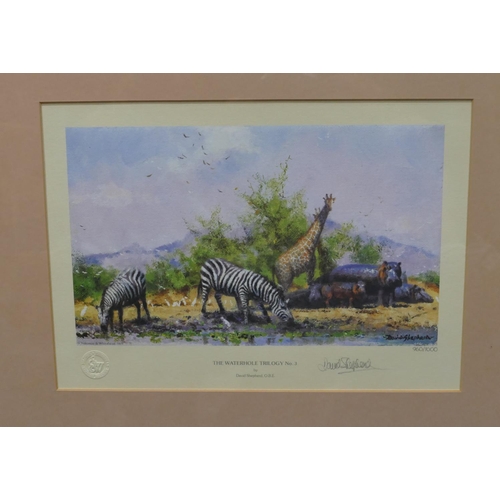 121 - 3 signed David Shepherd limited edition coloured prints, all mounted in single frame 