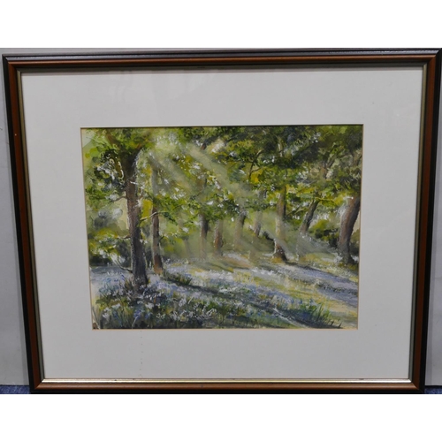 131 - A modern watercolour depicting sunlight through trees in woodland, unsigned, framed, 28.5cm x 38cm