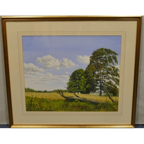 133 - Christine Radford, watercolour, depicting landscape 