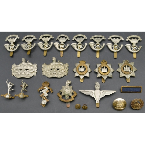 250 - A quantity of various military cap badges etc.