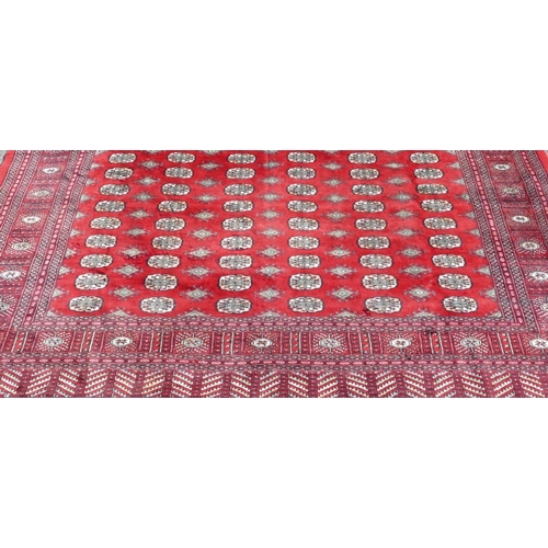 514 - A large Pakistan Bokhara rug on red ground with 6 x 27 elephant foot medallions, 342cm x 252cm