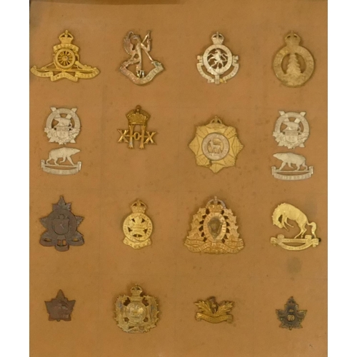 551 - 63 military cap badges etc. mounted on 3 cardboard panels