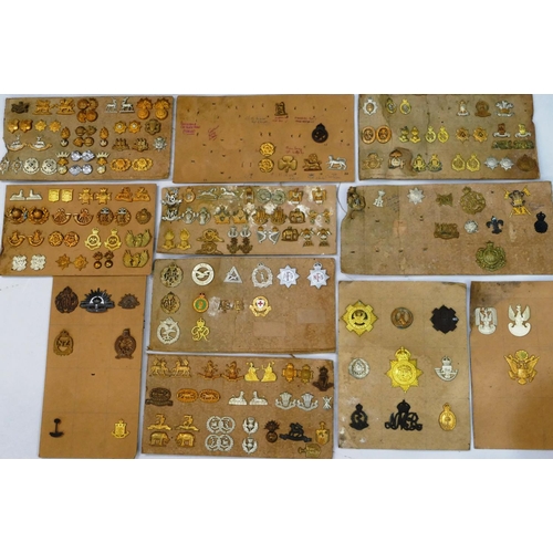 553 - 200 various military and other cap badges and lapel/collar badges all mounted on 11 cardboard panels