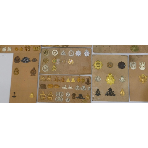 553 - 200 various military and other cap badges and lapel/collar badges all mounted on 11 cardboard panels