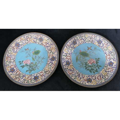 636 - A pair of Cloisonné round dishes on white and turquoise ground with multicoloured bird, floral and s... 