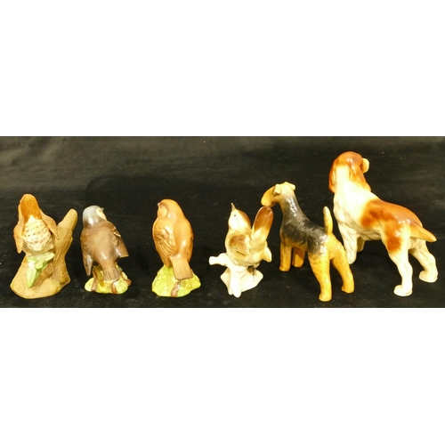 104 - A Beswick figure of a Spaniel, A Beswick figure of an Airedale, 4 china figures of birds (2 a/f) and... 