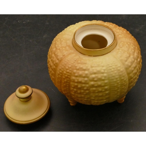 53 - A Royal Worcester blush round bulbous lidded pot with shell shaped lid, 9.5cm high