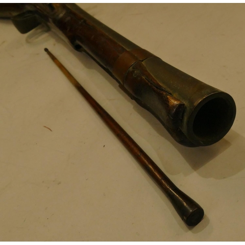 794 - A 19th Century mahogany flint lock Blunderbuss with ramrod  (seized mechanism), 73.5cm long