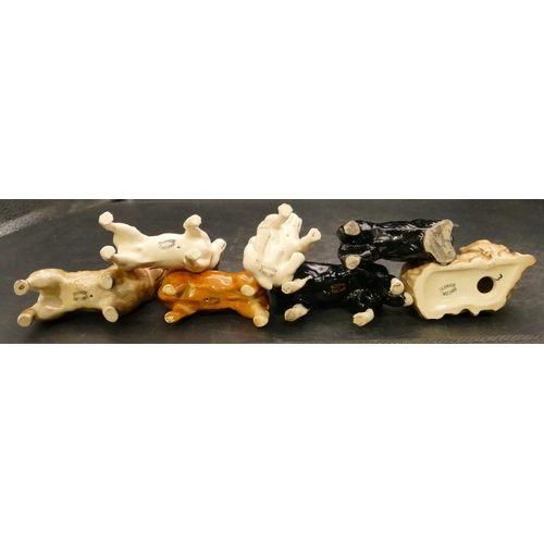 81 - 7 various small Beswick figures of dogs, largest 8cm high (7)