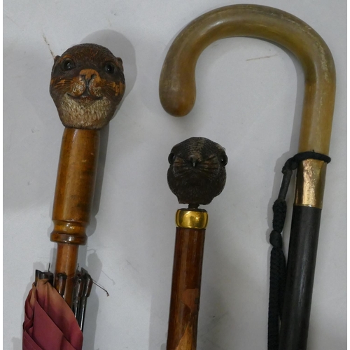 889 - 2 umbrellas with carved wooden handles depicting an otter and rabbit head, both with glass eyes (eye... 