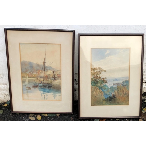 8181 - 2 watercolours in dark wood frames, 1 depicting sail boats dated 13 Feb.08 the other depicting trees... 