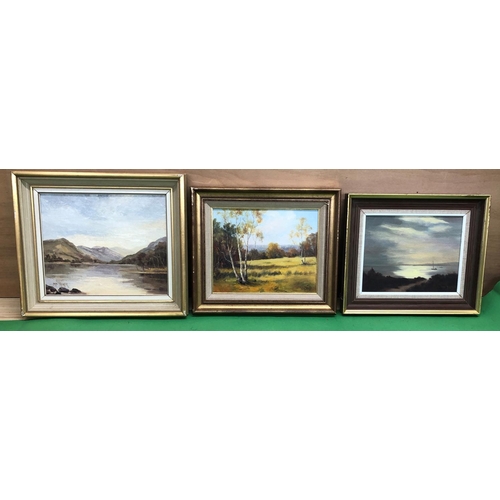 8184 - 2 Nan Parker oils and 1 P. Day oil, all framed, largest 29 x 24cm.