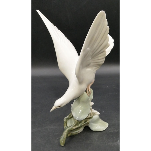 191 - A Lladro figure of a perched white bird with wings aloft, 27.5cm high