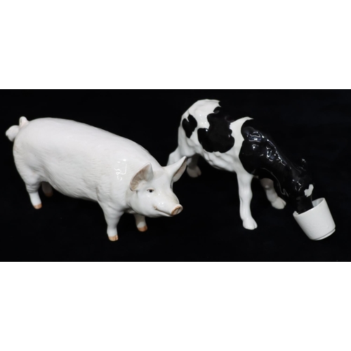 21 - A Shebeg, calf drinking from a pail with ears back, signed M A Mooney, 15cm long, a Beswick 