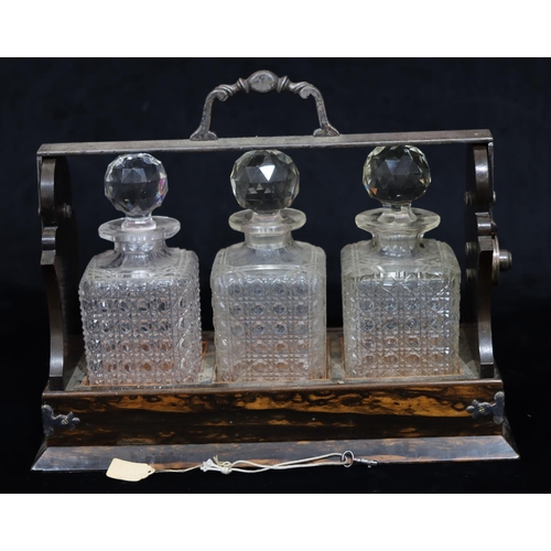 753 - A 19th Century Coromandel and silver plated 3 bottle Tantalus with hinged handle and key enclosing 3... 