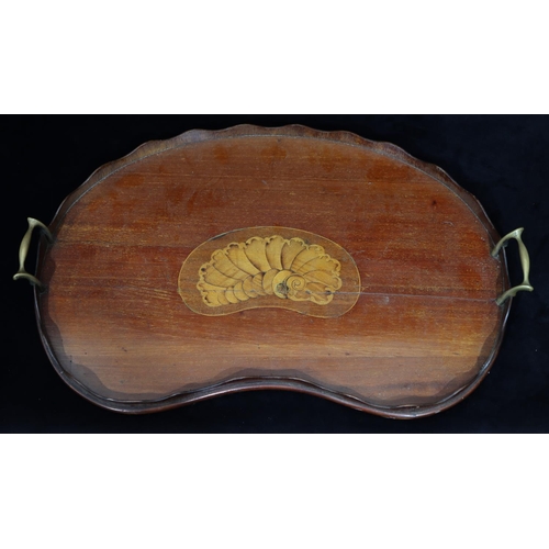 756 - An Edwardian mahogany kidney shaped 2-handled tray with inlaid shell motif, scallop shaped gallery, ... 