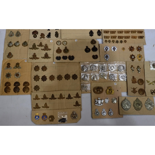 848 - A quantity of various military and other cap badges etc mounted on 16 cut boards