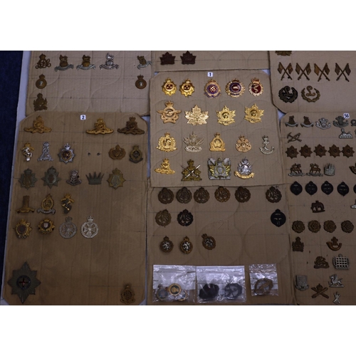 849 - A quantity of various military and other cap badges etc mounted on 14 boards