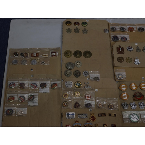 850 - A quantity of various enamel and other badges 