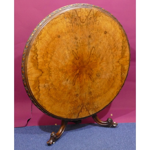 936 - A Victorian bur walnut round tilt-top breakfast table with carved floral and scroll rim, tri-pod bas... 