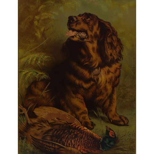 1072 - 2 modern prints each  of a dog and bird in gilt frame and a modern picture of 2 kittens in gilt fram... 