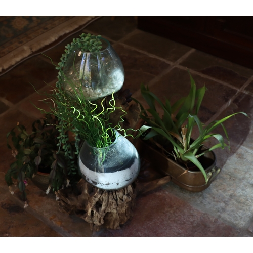 1278 - A section of tree trunk with 2 glass pots and plants, a copper oval pan with 2 plants and various ot... 